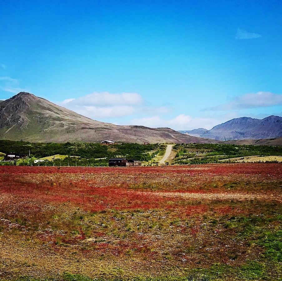 Apartment Hekla Nordicabin - Wild *